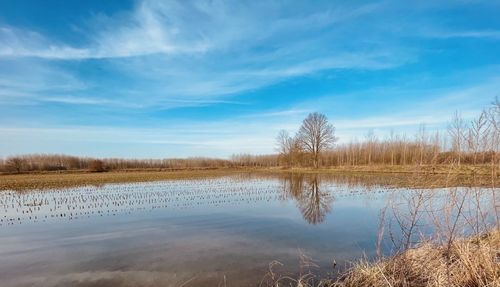 Scenic view of lake against sky