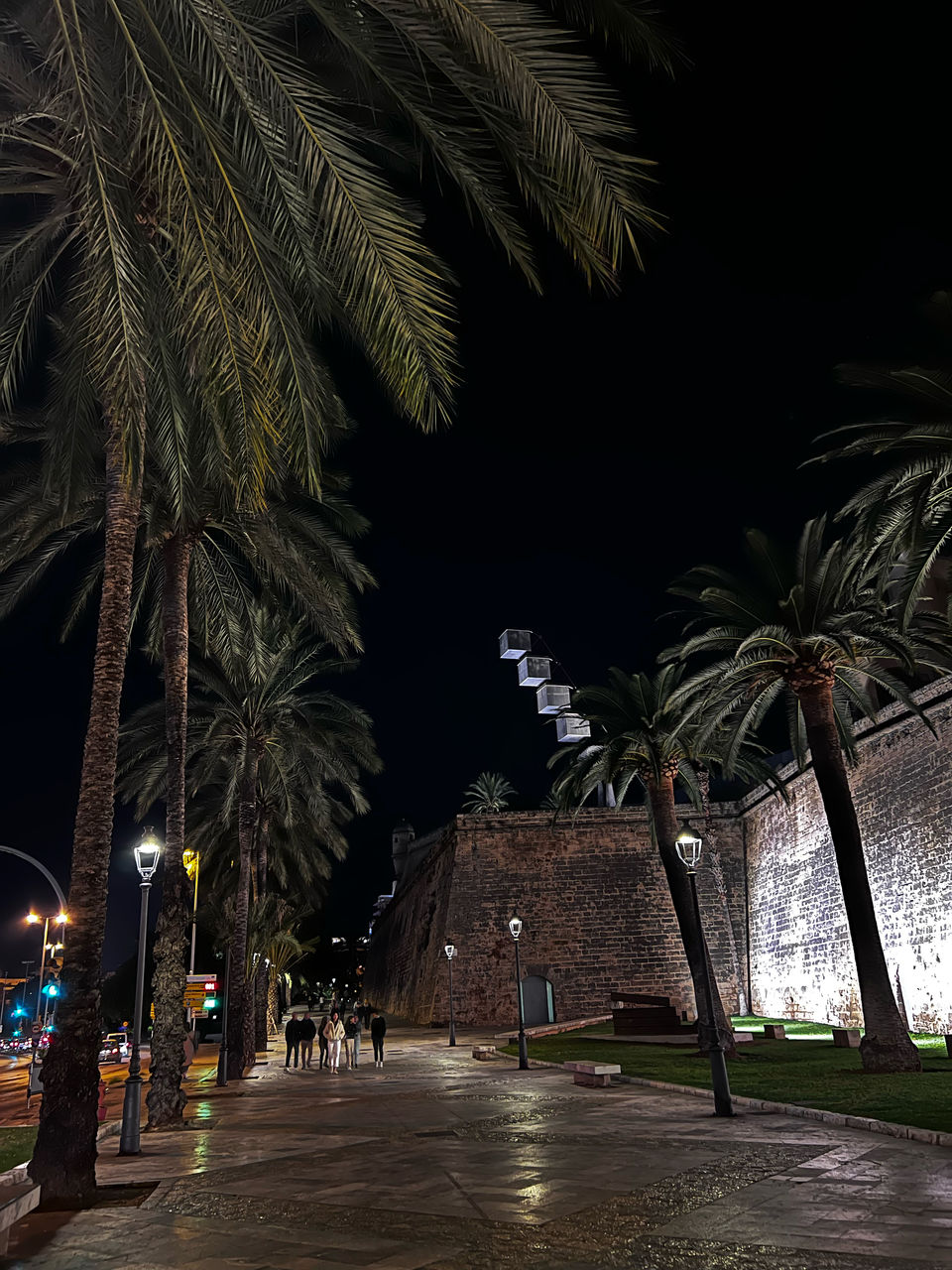 palm tree, tropical climate, night, tree, plant, architecture, nature, evening, street, city, illuminated, built structure, darkness, travel destinations, building exterior, outdoors, light, no people, sky, lighting, water