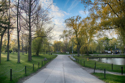 Walkway amidst trees against sky