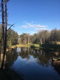 Reflection of trees in lake