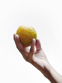 Close-up of cropped hand holding over white background