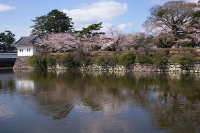 Scenic view of lake by trees against sky