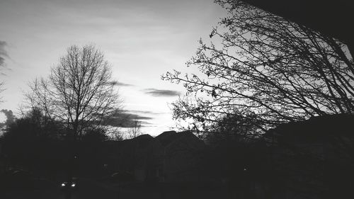 Low angle view of silhouette tree against sky