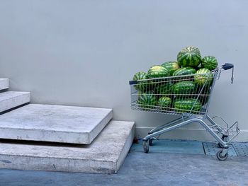 Metallic structure in basket against wall