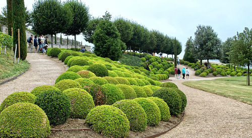 People in park