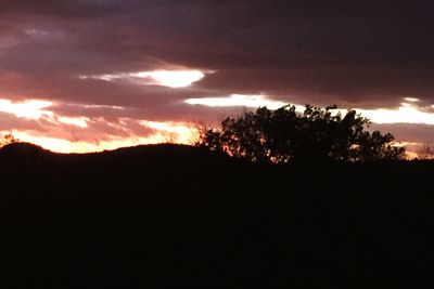 Silhouette trees on landscape against sunset sky