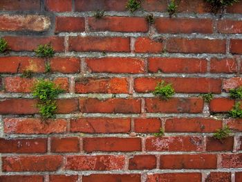 Full frame shot of brick wall