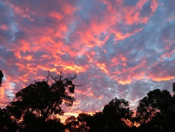 Low angle view of silhouette trees against dramatic sky