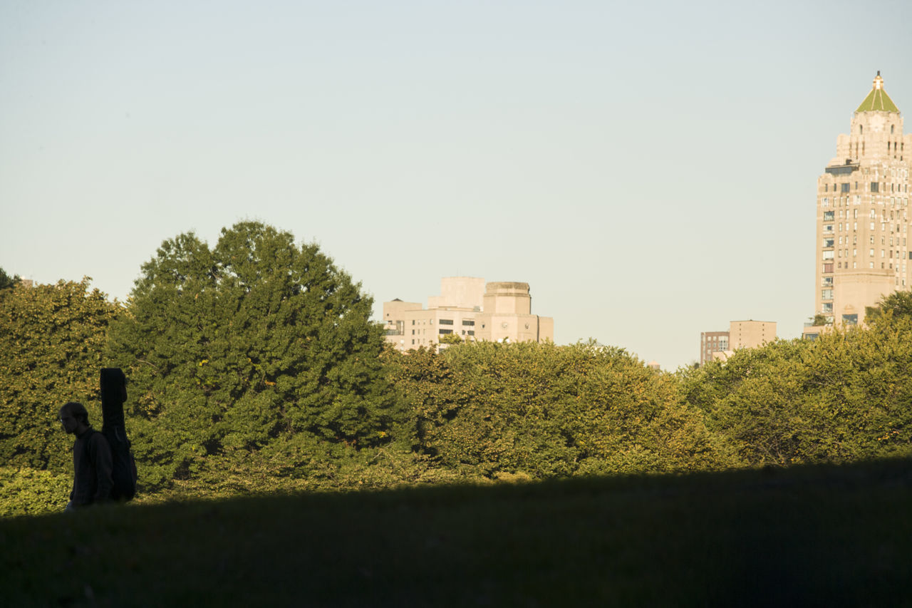 TREES AND BUILDINGS AGAINST SKY