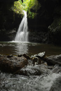 Scenic view of waterfall in forest