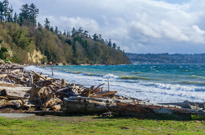 A landscape shot of the sea and shoreline at saltwater state park in washington state.