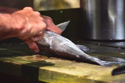 Cropped hands cutting fish in kitchen