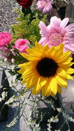 Close-up of yellow flowers blooming outdoors