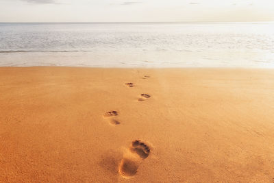 High angle view of footprints on sand at beach