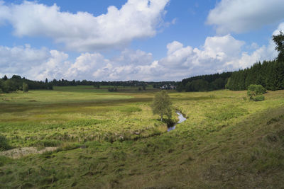 Scenic view of field against sky