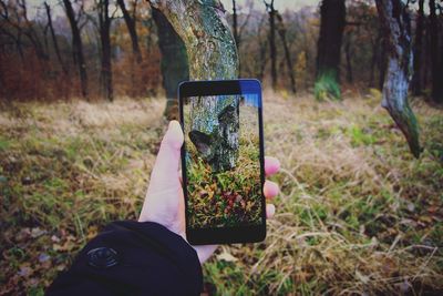 Close-up of hand holding mobile phone in forest