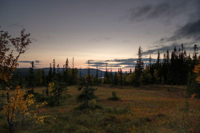 Scenic view of field against sky at sunset