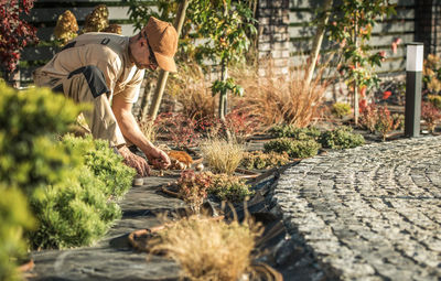 Man working on plants