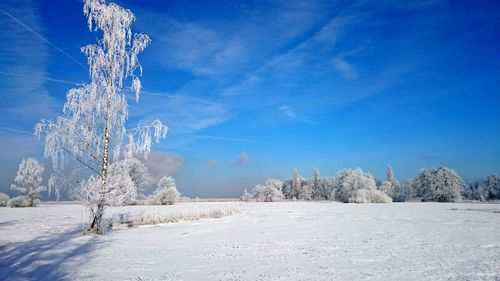 Scenic view of snow covered landscape