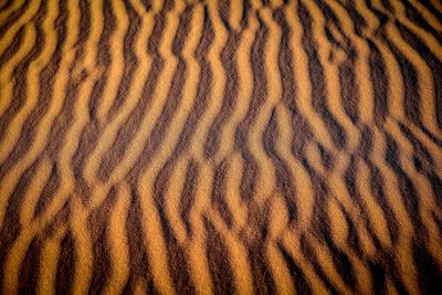 Full frame shot of sand