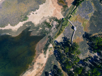 High angle view of trees on landscape