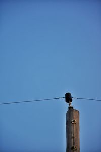 Low angle view of telephone line against clear blue sky