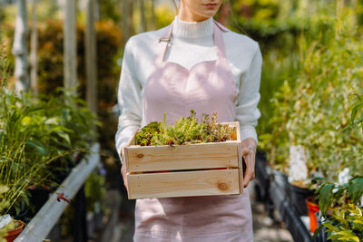 Midsection of woman holding potted plant