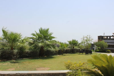 Trees and plants by building against sky