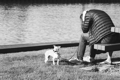 View of dog on leash next to man sitting on bench