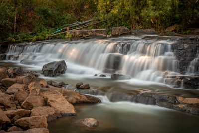 Scenic view of waterfall in forest