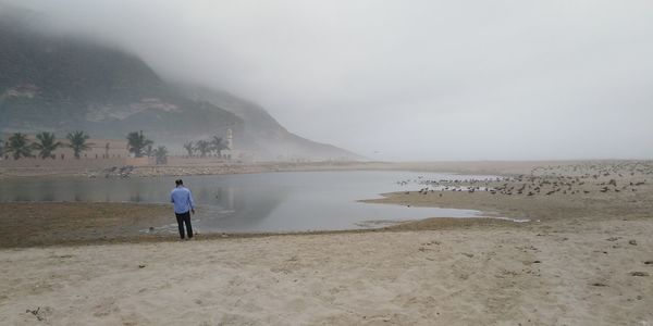 Rear view of man standing on shore against sky