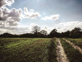 Scenic view of field against sky