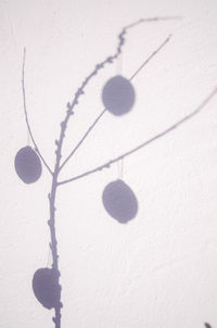 Close-up of object on wall