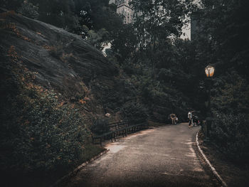 View of people walking on road along trees