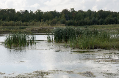 Scenic view of lake against sky