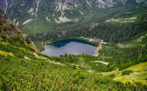 High angle view of lake amidst trees