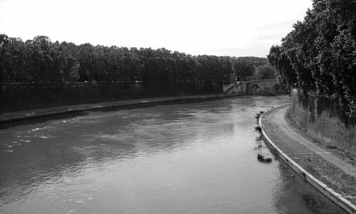 Scenic view of river amidst trees against sky