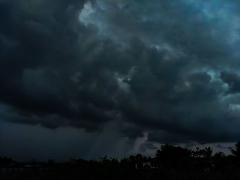 Silhouette of trees against storm clouds