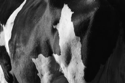 Close-up of man