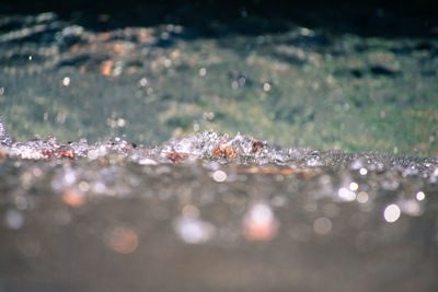 Close-up of water