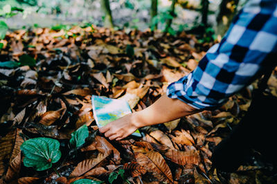 Cropped hand of woman putting map on dry leaves in forest