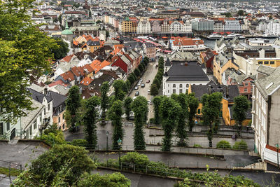 High angle view of trees and buildings in city