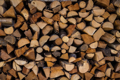 Full frame shot of logs in forest