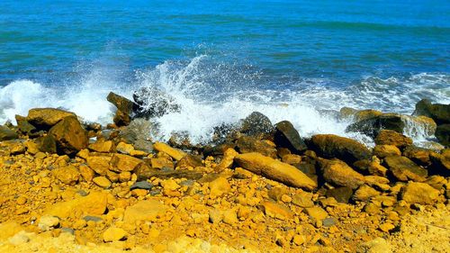 Scenic view of sea shore