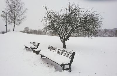 View of tree on snow covered landscape