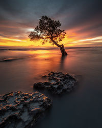 Scenic view of sea against sky during sunset