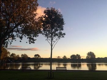 Silhouette tree by lake against sky during sunset