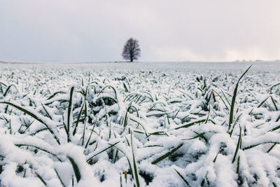 Scenic view of snow covered field against sky