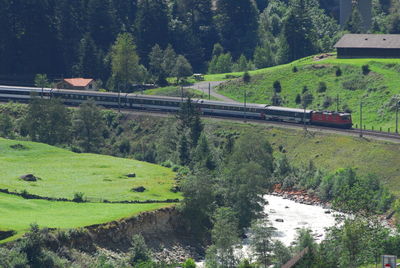 Train passing through forest