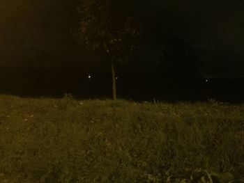 Scenic view of field against sky at night